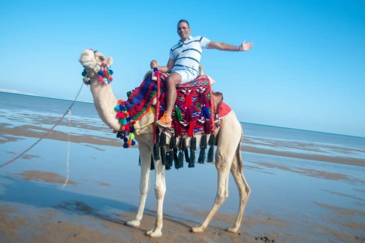Horse Riding Nabq Bay Beach,Desert Sunrise&Sunset-Sharm El Sheikh