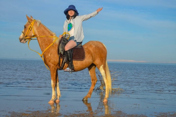 Horse Riding Nabq Bay Beach,Desert Sunrise&Sunset-Sharm El Sheikh