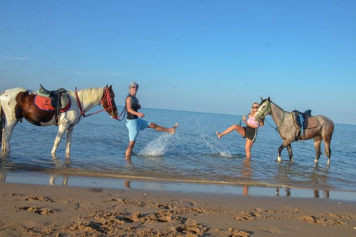 Horse Riding Nabq Bay Beach,Desert Sunrise&Sunset-Sharm El Sheikh