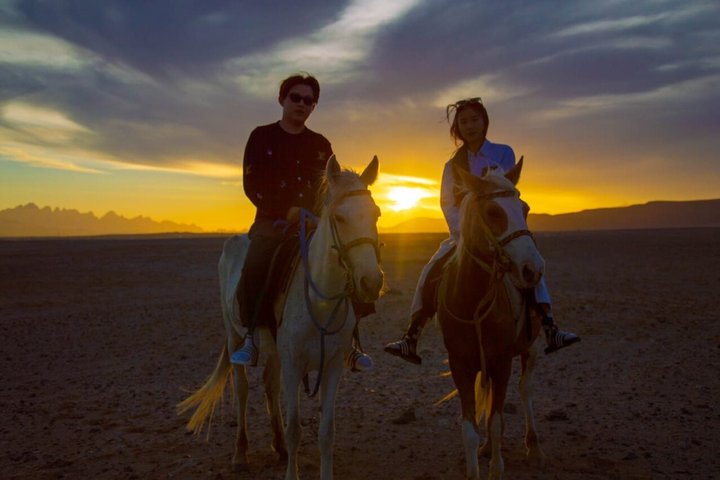Horse Riding Nabq Bay Beach,Desert Sunrise&Sunset-Sharm El Sheikh
