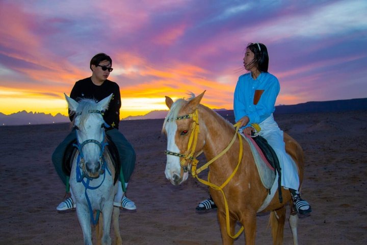 Horse Riding Nabq Bay Beach,Desert Sunrise&Sunset-Sharm El Sheikh