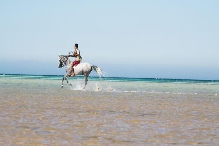Horse Riding Nabq Bay Beach,Desert Sunrise&Sunset-Sharm El Sheikh