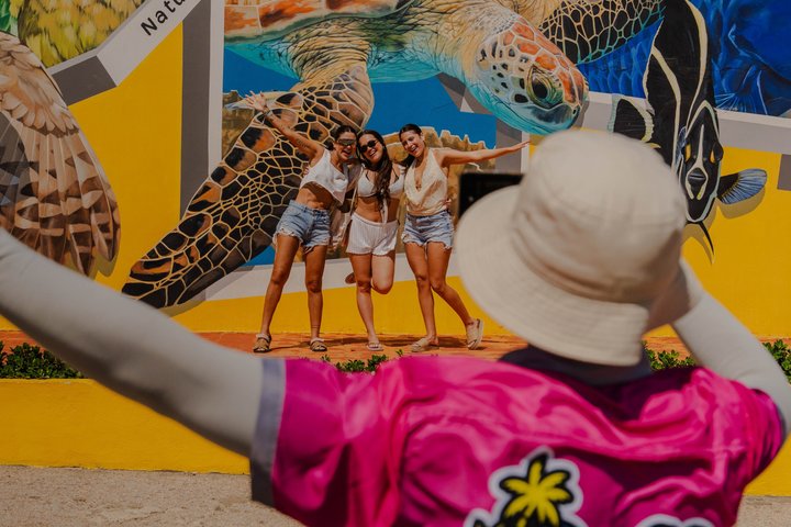 Aruba Half-Day Full Island Safari Adventure with Baby Beach Swim