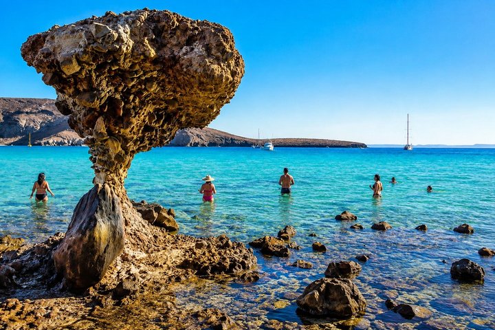 Isla Espiritu Santo, Balandra and Sea Lions All Inclusive