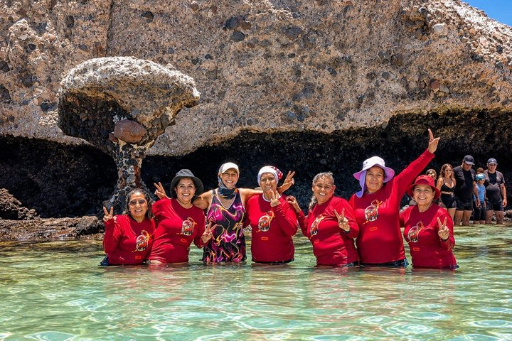 Isla Espiritu Santo, Balandra and Sea Lions All Inclusive