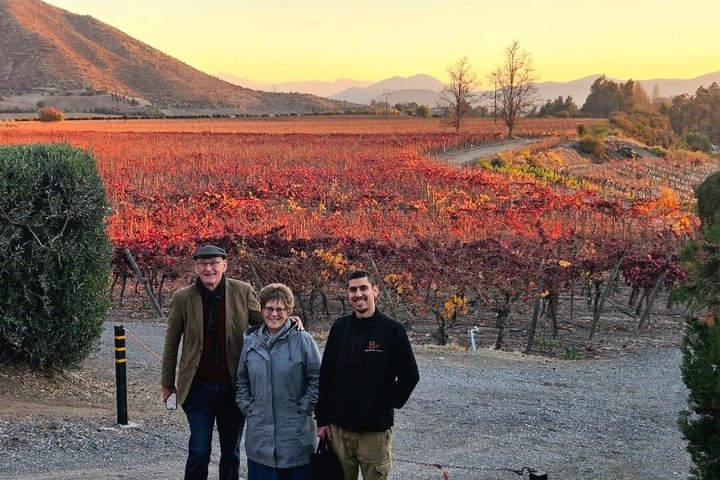 Private Maipo Valley Wine Experience: 2 Premium Wineries & Lunch