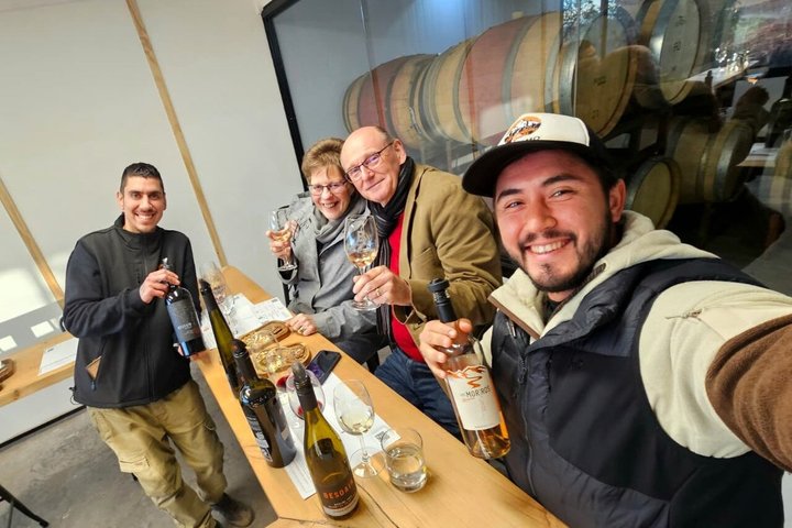Private Maipo Valley Wine Experience: 2 Premium Wineries & Lunch