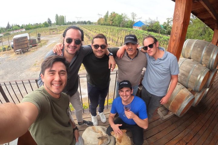 Private Maipo Valley Wine Experience: 2 Premium Wineries & Lunch
