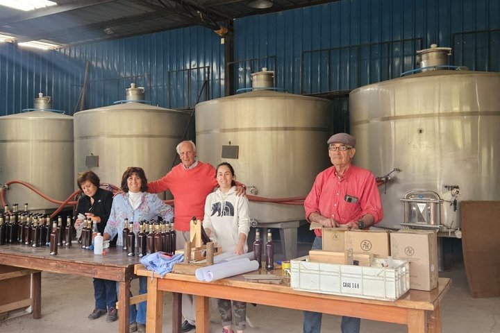 Private Maipo Valley Wine Experience: 2 Premium Wineries & Lunch