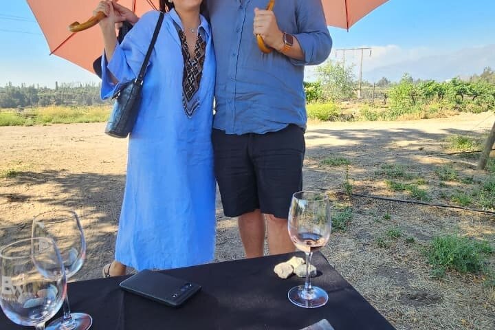 Private Maipo Valley Wine Experience: 2 Premium Wineries & Lunch