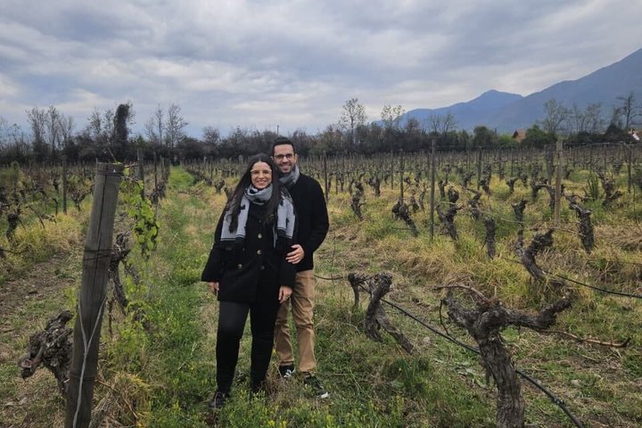 Private Maipo Valley Wine Experience: 2 Premium Wineries & Lunch