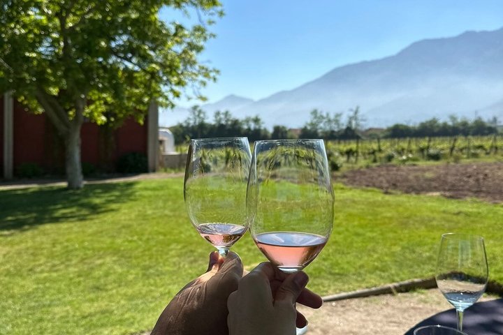 Private Maipo Valley Wine Experience: 2 Premium Wineries & Lunch
