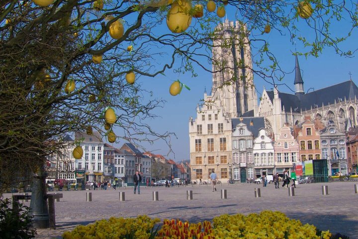 Hello Mechelen: Private 2-Hour Intro City Walk with Local Guide
