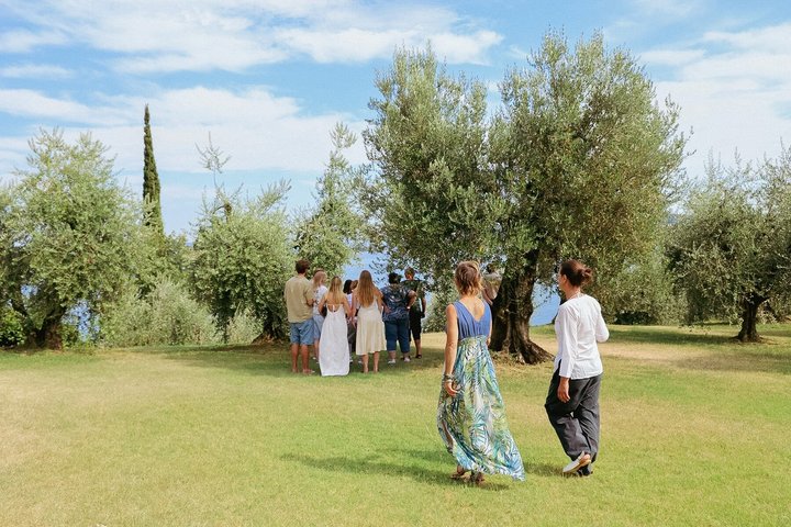 Olive Oil Tasting with Local Food on Lake Garda Hills