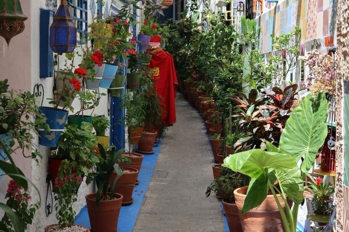 All inclusive Tangier Private day trip from Marbella or Malaga