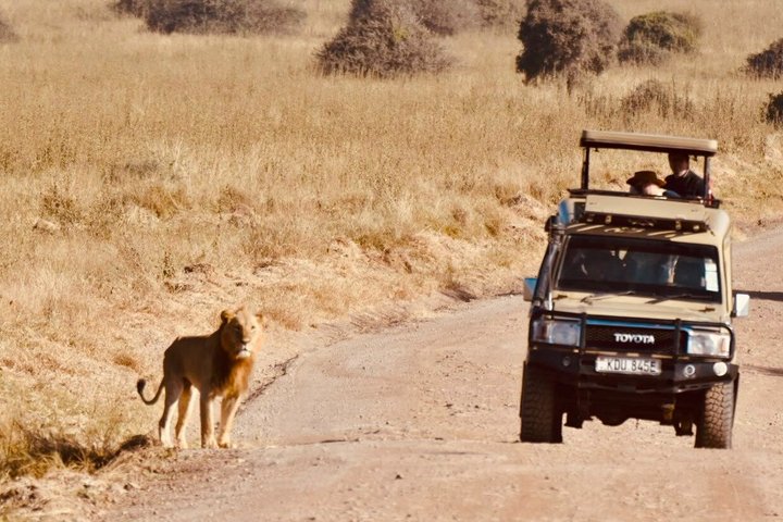 Overnight Tour Experience to Tsavo East National Park