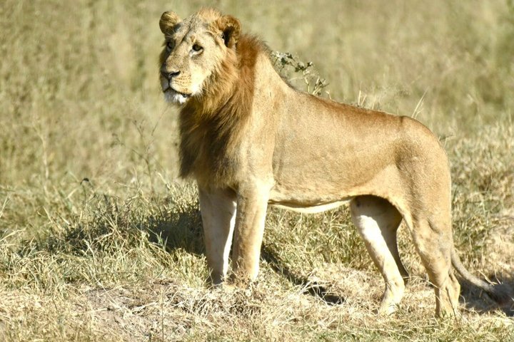 Overnight Tour Experience to Tsavo East National Park