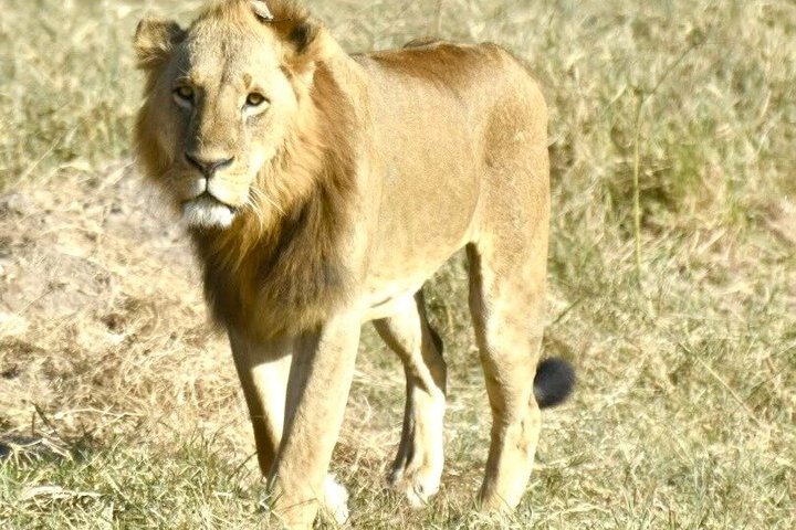Overnight Tour Experience to Tsavo East National Park