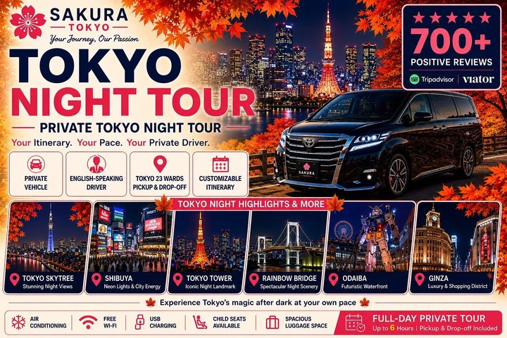 Tokyo Private Night Tour by Van English Chauffeur