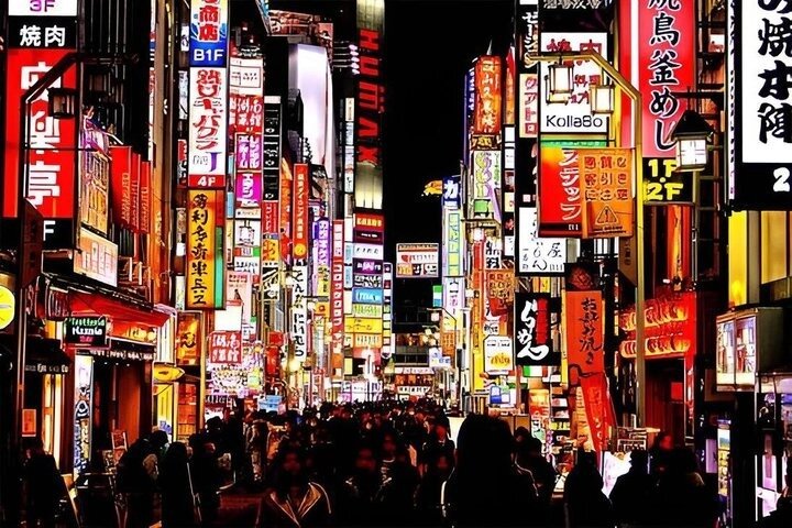 Tokyo Private Night Tour by Van English Chauffeur