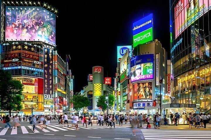 Tokyo Private Night Tour by Van English Chauffeur