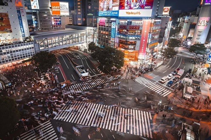 Tokyo Private Night Tour by Van English Chauffeur