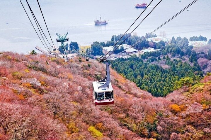 Hakone Private & Custom Day Tour with English Driver