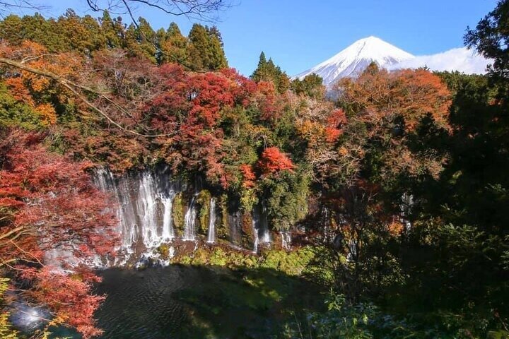 Hakone Private & Custom Day Tour with English Driver