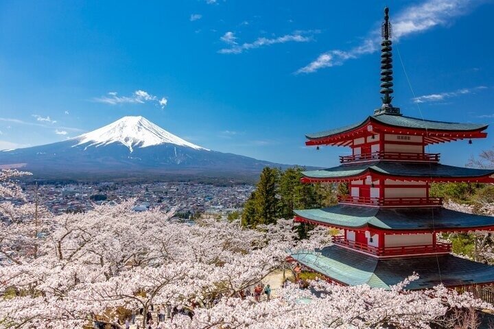 Hakone & Mt Fuji Private Custom Tour with English Driver-guide