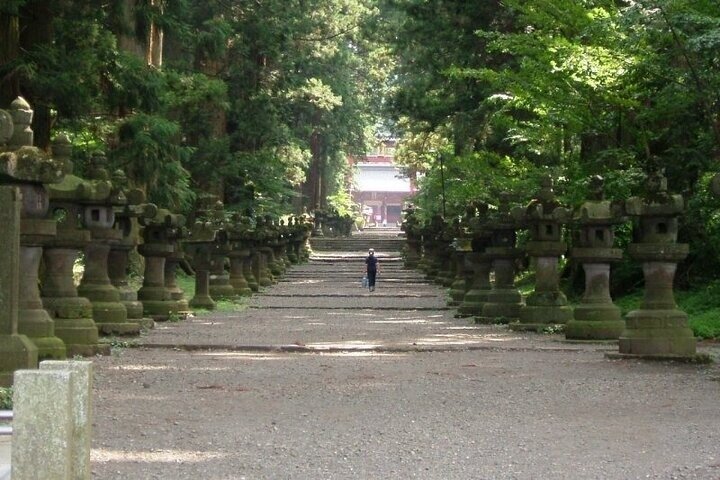Hakone & Mt Fuji Private Custom Tour with English Driver-guide