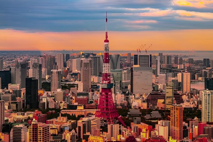 Private and Customisable Tokyo Tour with English-Speaking Driver