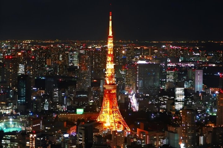Private and Customisable Tokyo Tour with English-Speaking Driver