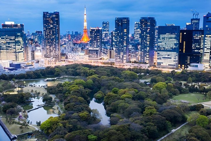 Private and Customisable Tokyo Tour with English-Speaking Driver