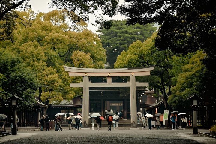 Private and Customisable Tokyo Tour with English-Speaking Driver