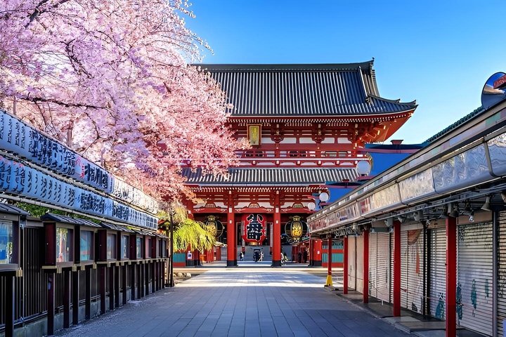 Private and Customisable Tokyo Tour with English-Speaking Driver