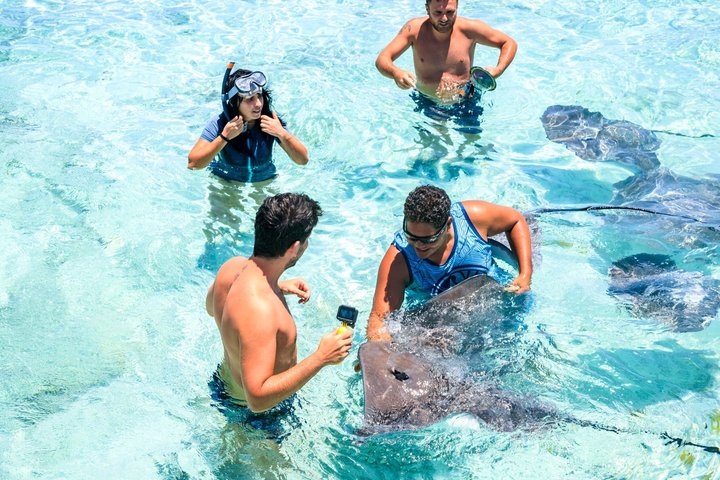 Full-Day Bora Bora Lagoon Cruise Including Snorkeling with Sharks and Stingrays