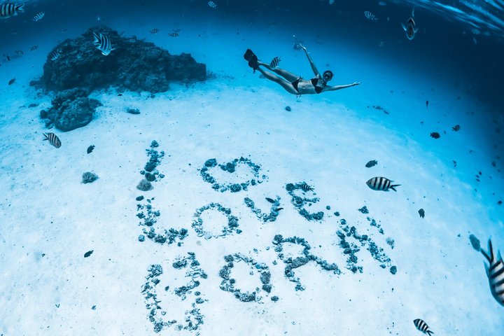Full-Day Bora Bora Lagoon Cruise Including Snorkeling with Sharks and Stingrays