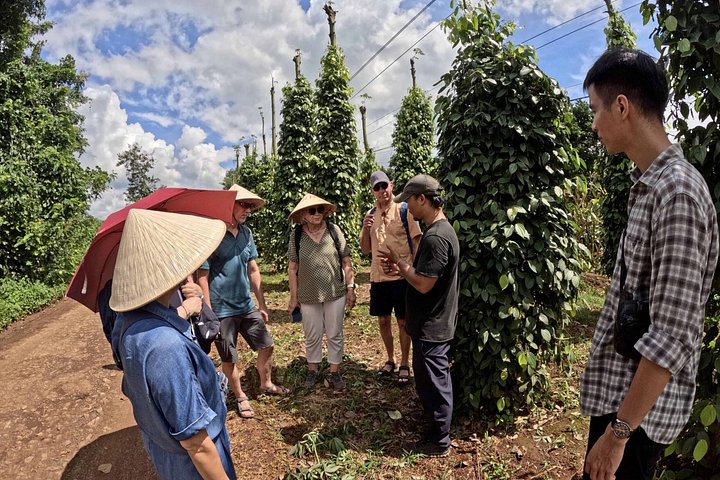Buon Ma Thuot to Lak Coffee & Village with Scooter & Local Driver