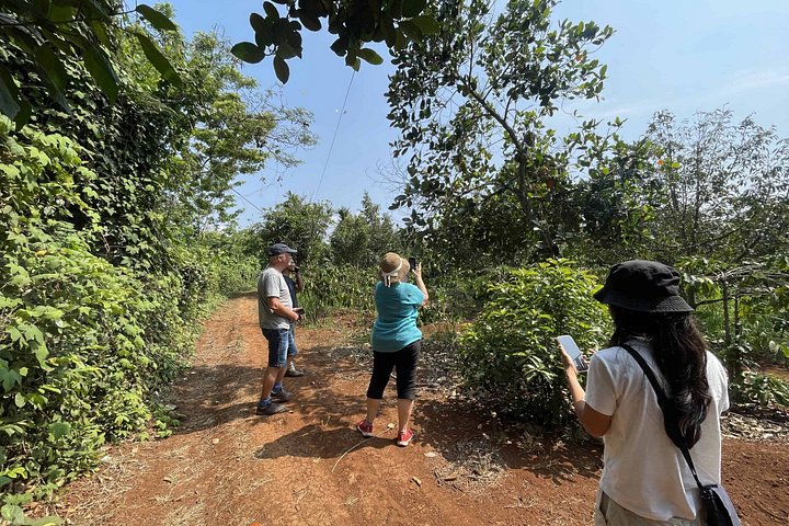Buon Ma Thuot to Lak Coffee & Village with Scooter & Local Driver