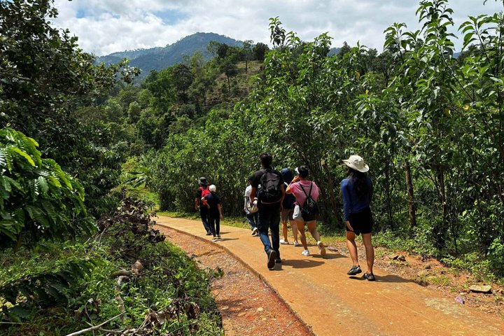 Buon Ma Thuot: Bim Bip Waterfall & Lak Nature with Local Lunch