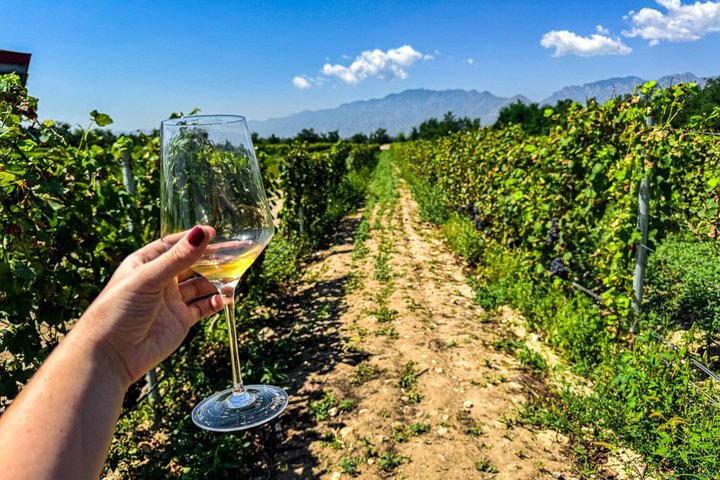 3-Day 2-Nignt Wine Taste Through China's Wine Region of Ningxia
