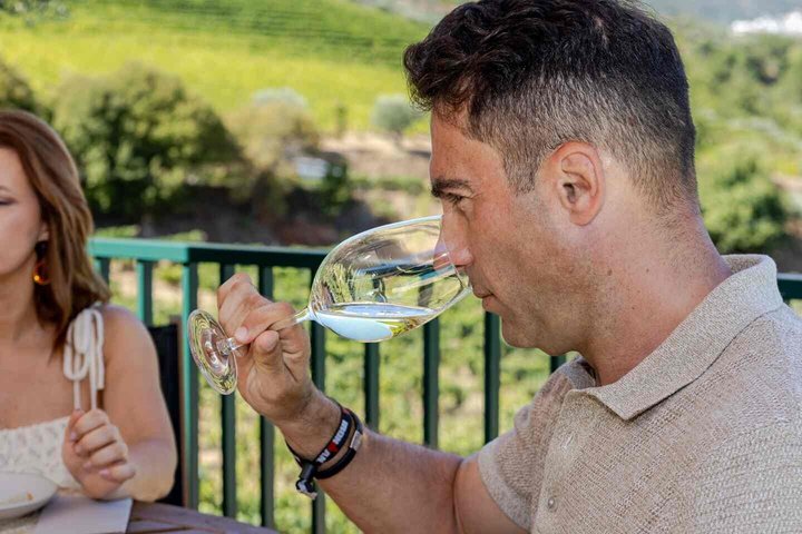 Wine Tasting at Quinta dos Novais in Douro Valley