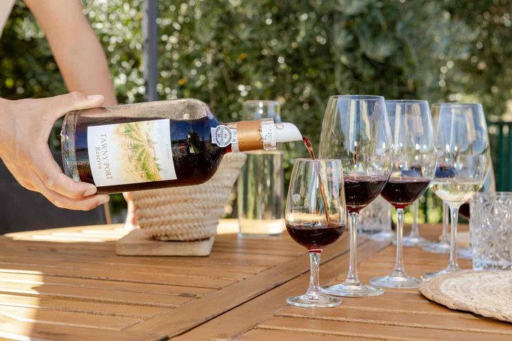 Wine Tasting at Quinta dos Novais in Douro Valley