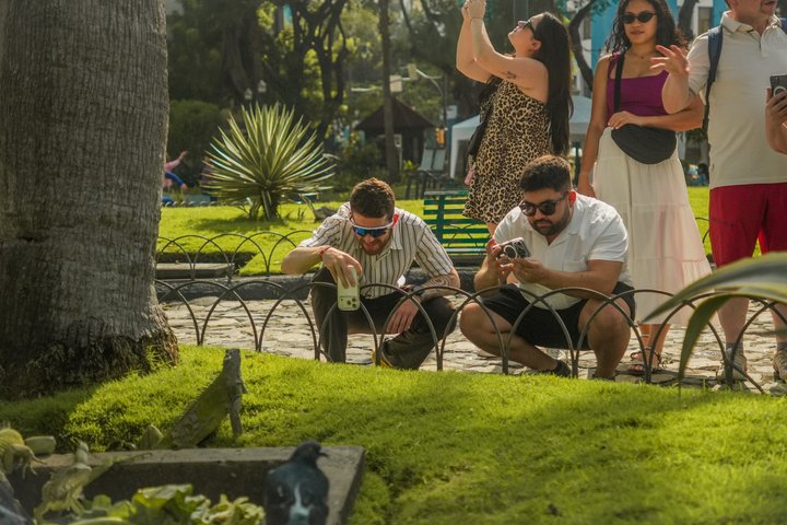 Guayaquil Layover Sightseeing Tour with Round-Trip Airport Transport