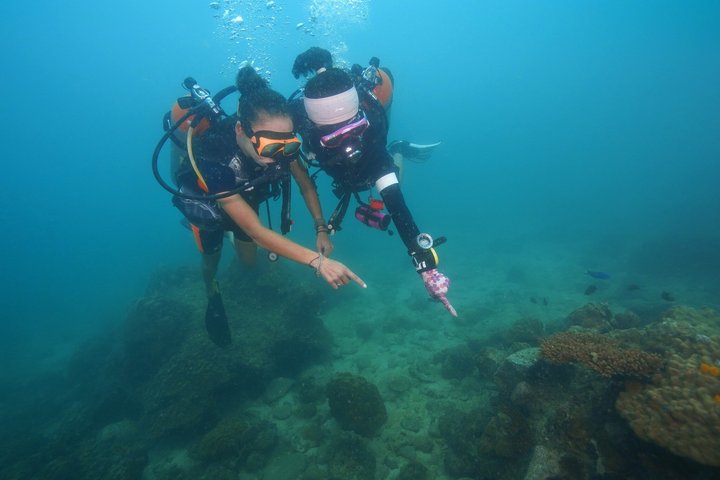 Discover Scuba diving, try diving for beginners (starts from Koh Chang)