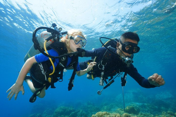Discover Scuba diving, try diving for beginners (starts from Koh Chang)
