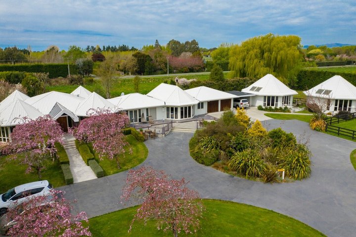 Christchurch Alpaca Farm Tour From Kaiapoi