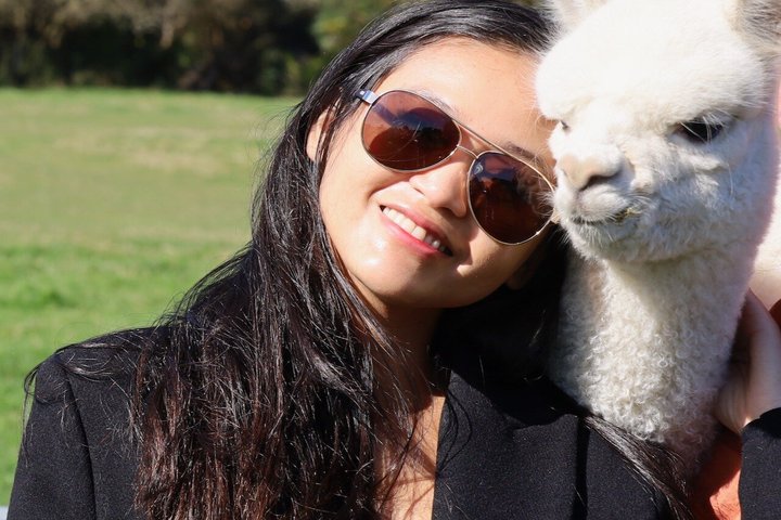 Christchurch Alpaca Farm Tour From Kaiapoi