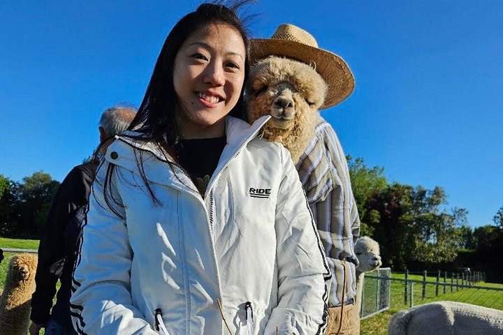 Christchurch Alpaca Farm Tour From Kaiapoi