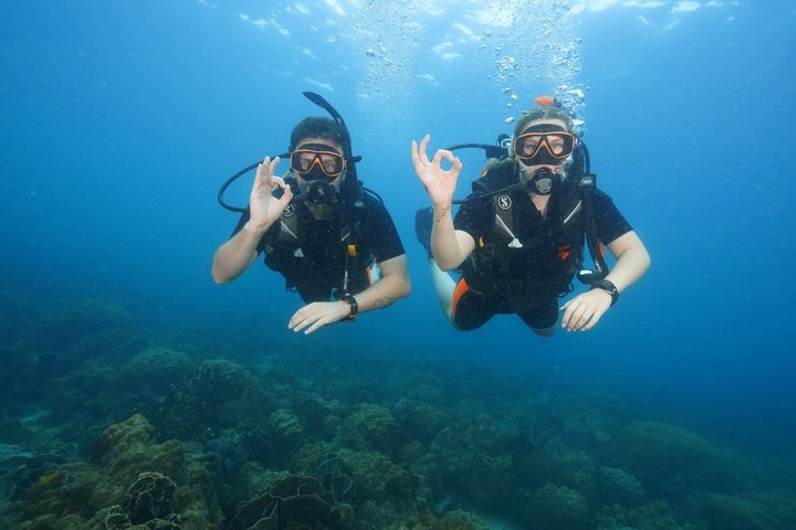 Padi open water diver course, become a diver in 3 days